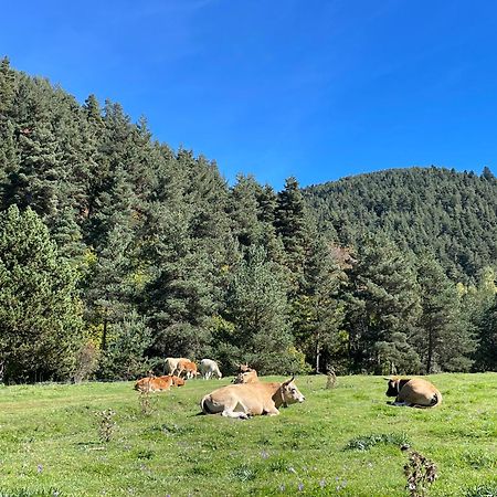 Apartamento Dalia La Molina  Esterno foto